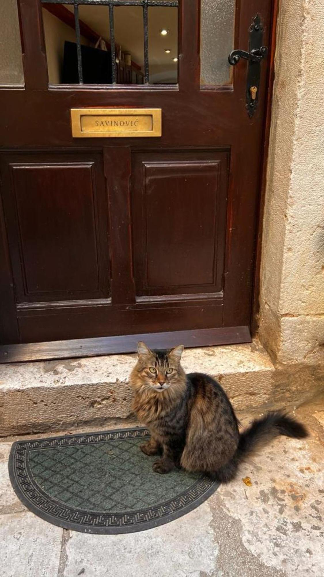Crocant House Dubrovnik Eksteriør bilde